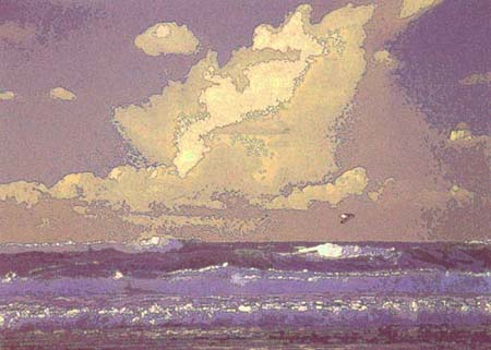 seabird